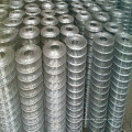 Galvanized welded wire mesh for bird cage BWG 23